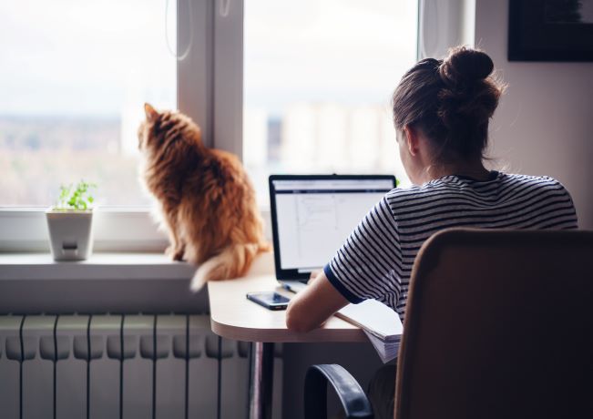 WFH worker with office cat